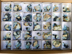 Natural Rare Aquamarine in Black Tourmaline Specimens x 58 From Karibib, Namibia - Toprock Gemstones and Minerals 