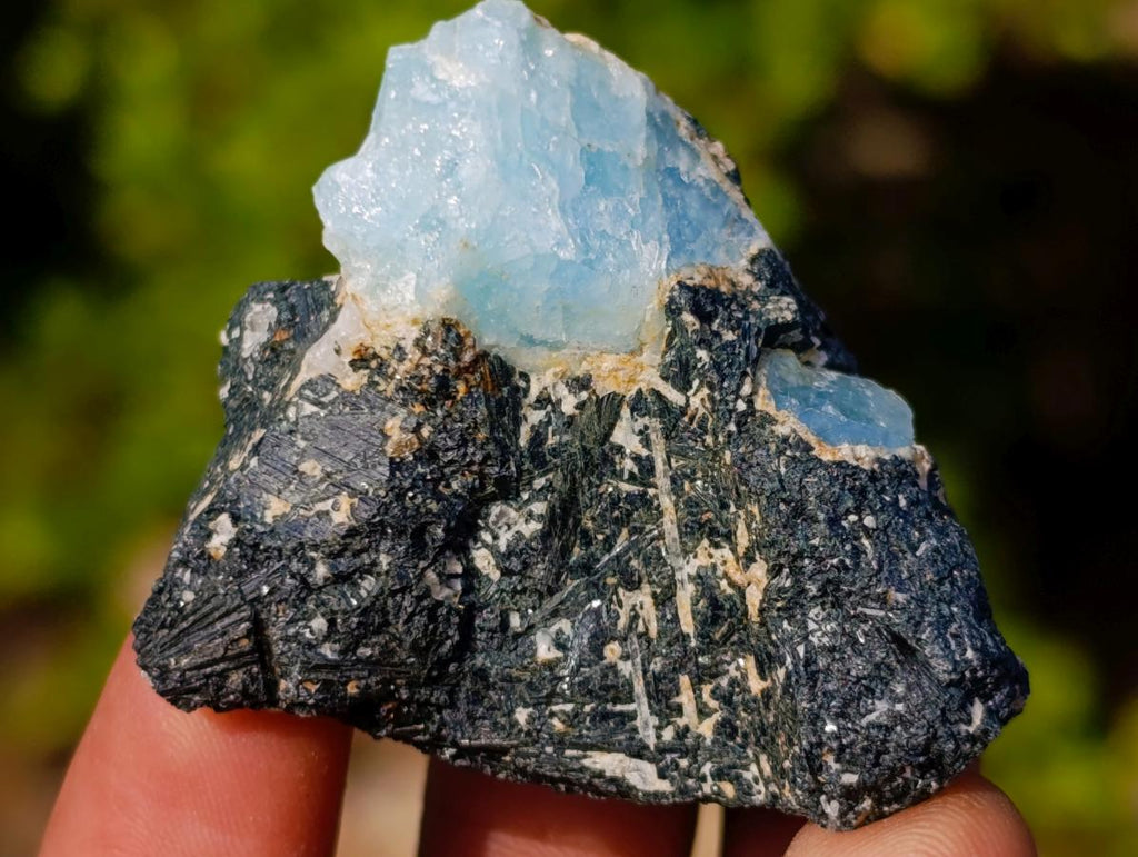 Natural Rare Aquamarine in Black Tourmaline Specimens x 58 From Karibib, Namibia - Toprock Gemstones and Minerals 