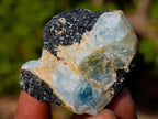 Natural Rare Aquamarine in Black Tourmaline Specimens x 58 From Karibib, Namibia - Toprock Gemstones and Minerals 