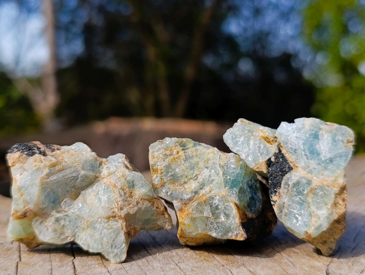 Natural Rare Aquamarine in Black Tourmaline Specimens x 58 From Karibib, Namibia - Toprock Gemstones and Minerals 