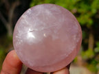 Polished Gemmy Rose Quartz Palm Stones x 24 From Madagascar - Toprock Gemstones and Minerals 