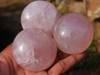 Polished Gemmy Rose Quartz Palm Stones x 24 From Madagascar - Toprock Gemstones and Minerals 