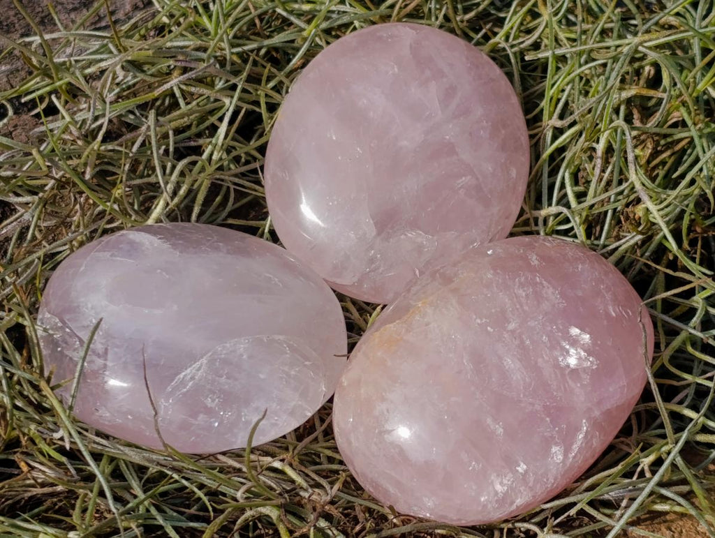 Polished Gemmy Rose Quartz Palm Stones x 24 From Madagascar - Toprock Gemstones and Minerals 