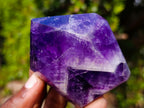 Polished Chevron Amethyst Display Crystal Points x 6 From Zambia - Toprock Gemstones and Minerals 