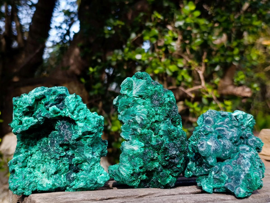 Natural Silky Malachite Specimens x 3 From Kasompe, Congo - Toprock Gemstones and Minerals 