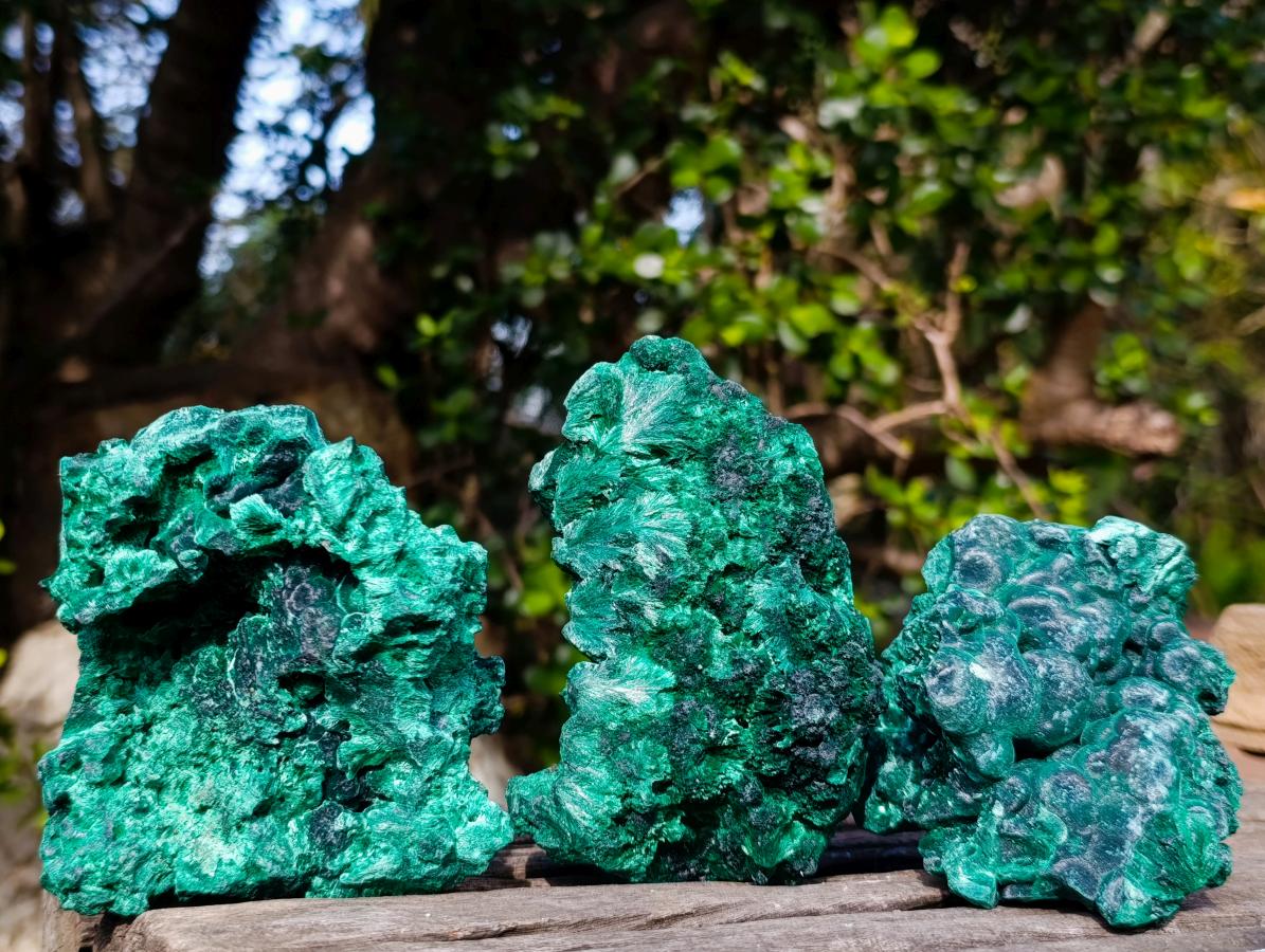 Natural Silky Malachite Specimens x 3 From Kasompe, Congo - Toprock Gemstones and Minerals 