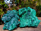 Natural Silky Malachite Specimens x 3 From Kasompe, Congo - Toprock Gemstones and Minerals 