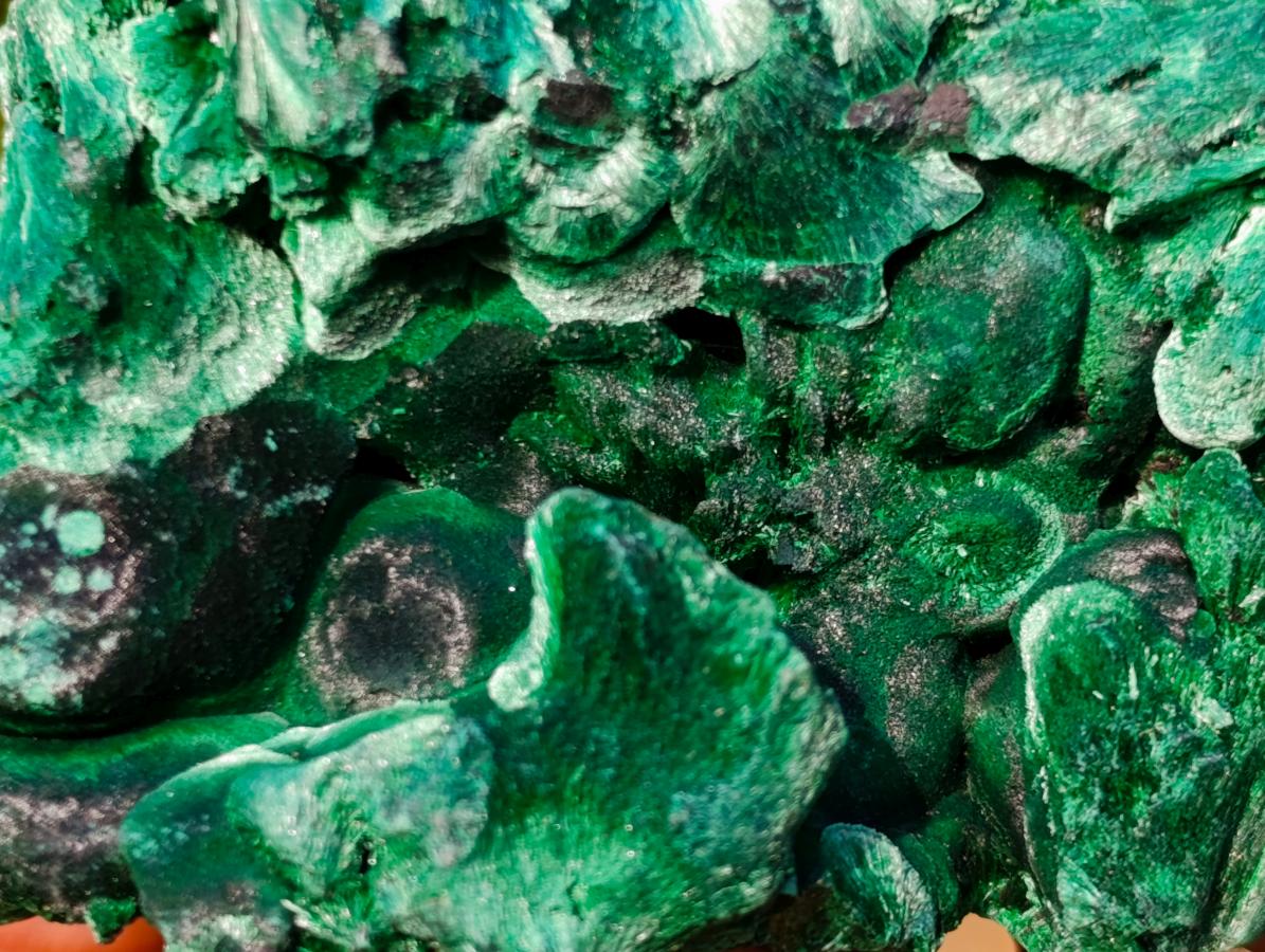 Natural Silky Malachite Specimens x 3 From Kasompe, Congo - Toprock Gemstones and Minerals 