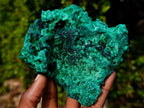 Natural Silky Malachite Specimens x 3 From Kasompe, Congo - Toprock Gemstones and Minerals 
