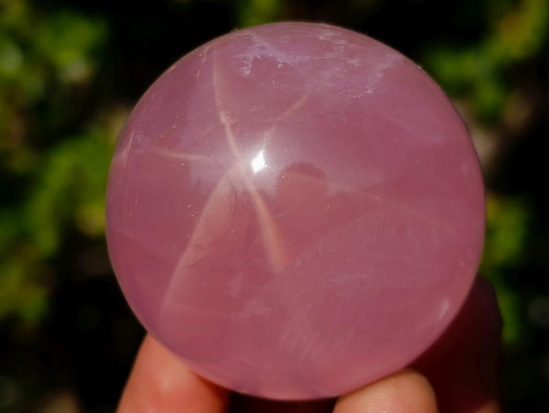 Polished Gemmy Star Rose Quartz Spheres x 6 From Madagascar - Toprock Gemstones and Minerals 