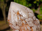 Natural Cascading Pineapple Candle Quartz Crystals x 5 From Antsirabe, Madagascar - Toprock Gemstones and Minerals 