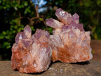 Natural Sugar Amethyst Clusters x 6 From Zambia - Toprock Gemstones and Minerals 