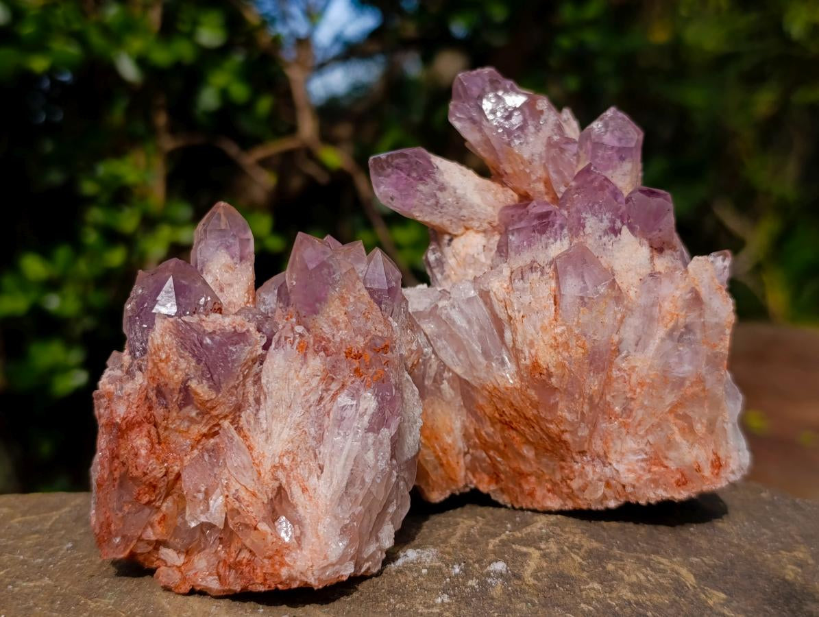 Natural Sugar Amethyst Clusters x 6 From Zambia - Toprock Gemstones and Minerals 