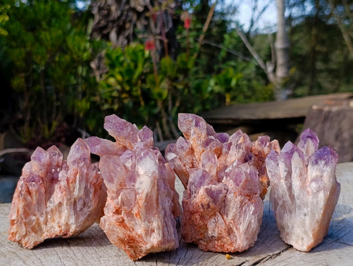 Natural Sugar Amethyst Clusters x 6 From Zambia - Toprock Gemstones and Minerals 