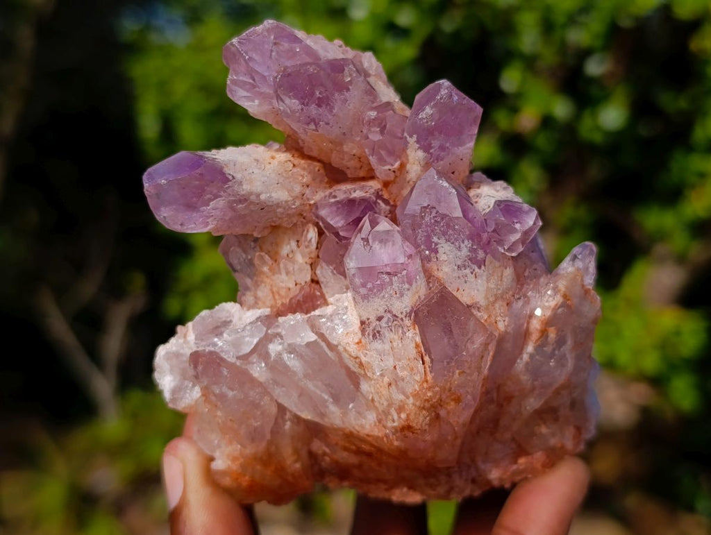 Natural Sugar Amethyst Clusters x 6 From Zambia - Toprock Gemstones and Minerals 