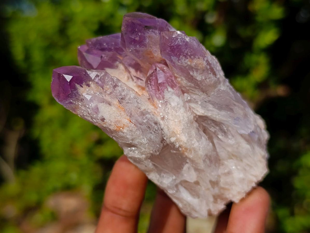 Natural Sugar Amethyst Clusters x 6 From Zambia - Toprock Gemstones and Minerals 