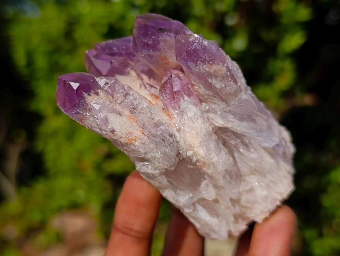 Natural Sugar Amethyst Clusters x 6 From Zambia - Toprock Gemstones and Minerals 
