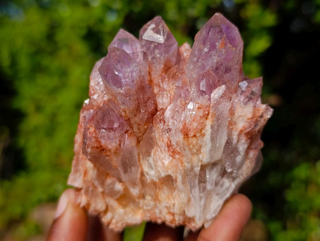 Natural Sugar Amethyst Clusters x 6 From Zambia - Toprock Gemstones and Minerals 