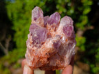 Natural Sugar Amethyst Clusters x 6 From Zambia - Toprock Gemstones and Minerals 