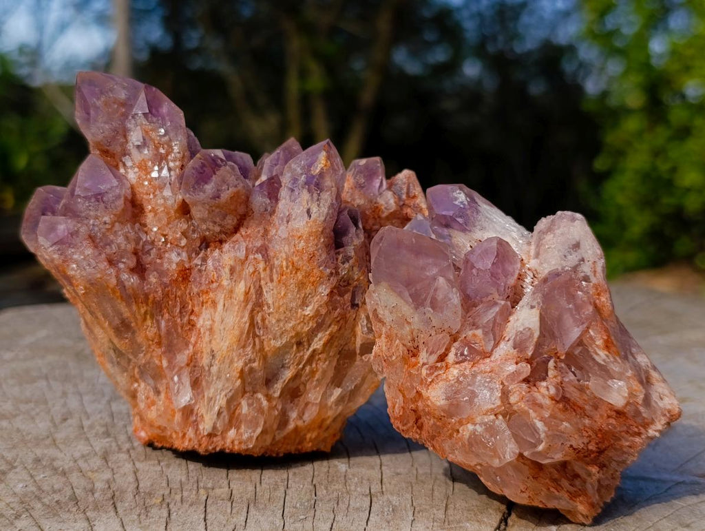 Natural Sugar Amethyst Clusters x 6 From Zambia - Toprock Gemstones and Minerals 