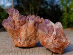 Natural Sugar Amethyst Clusters x 6 From Zambia - Toprock Gemstones and Minerals 
