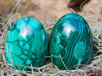 Polished Flower Banded Malachite Gemstone Eggs x 6 From Congo - Toprock Gemstones and Minerals 