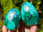 Polished Flower Banded Malachite Gemstone Eggs x 6 From Congo - Toprock Gemstones and Minerals 