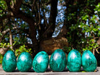 Polished Flower Banded Malachite Gemstone Eggs x 6 From Congo - Toprock Gemstones and Minerals 