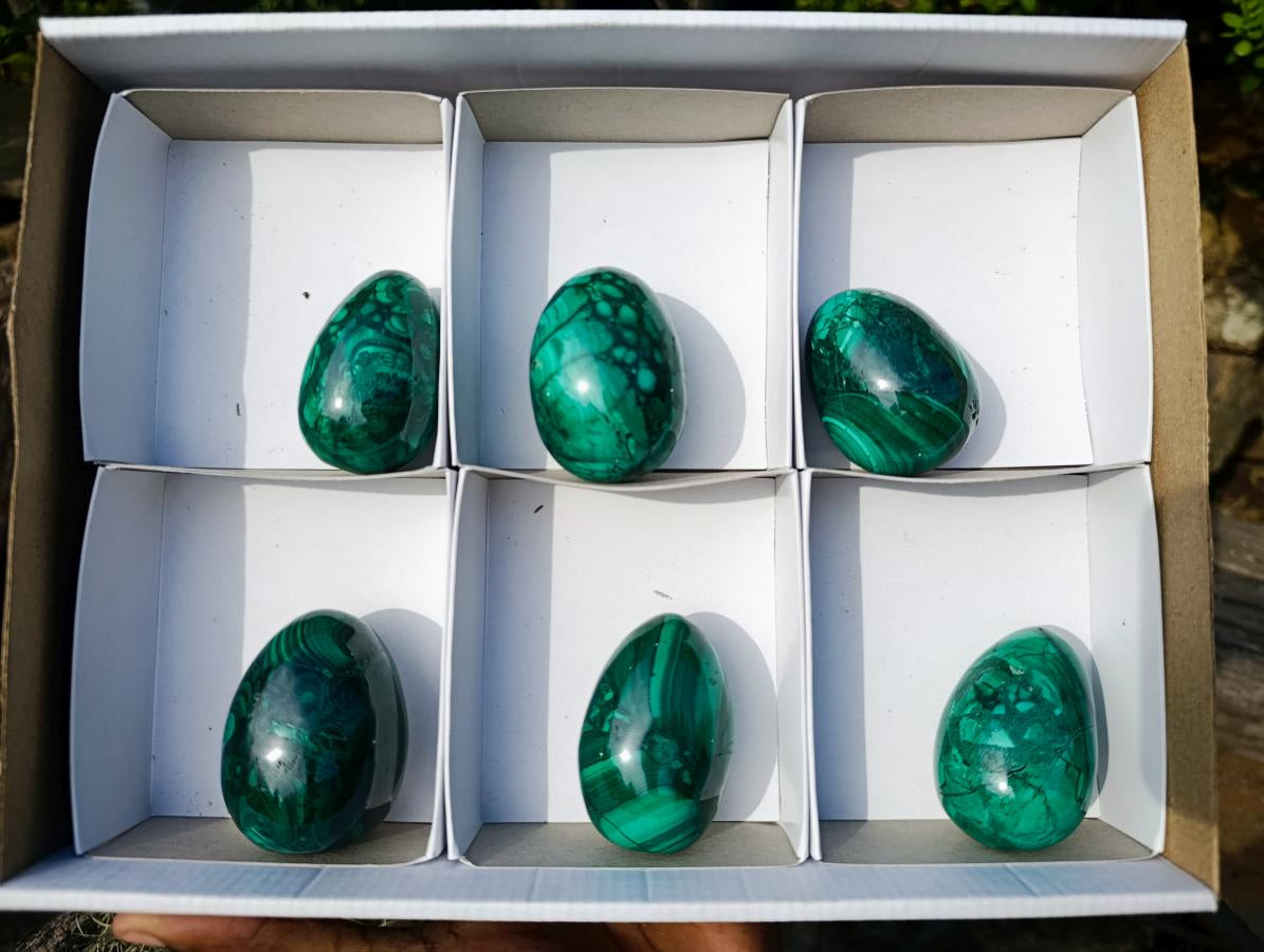 Polished Flower Banded Malachite Gemstone Eggs x 6 From Congo - Toprock Gemstones and Minerals 