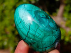Polished Flower Banded Malachite Gemstone Eggs x 6 From Congo - Toprock Gemstones and Minerals 