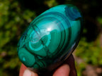 Polished Flower Banded Malachite Gemstone Eggs x 6 From Congo - Toprock Gemstones and Minerals 