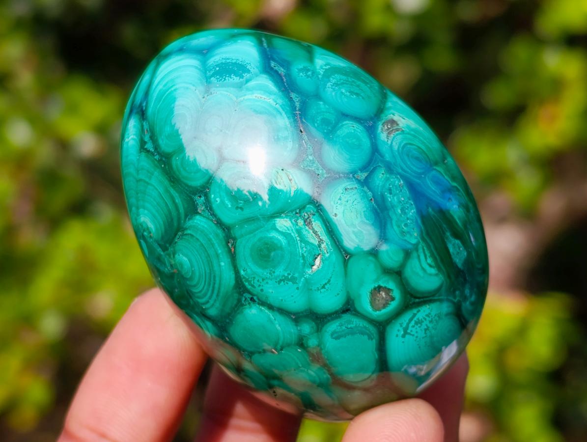 Polished Flower Banded Malachite Gemstone Eggs x 6 From Congo - Toprock Gemstones and Minerals 