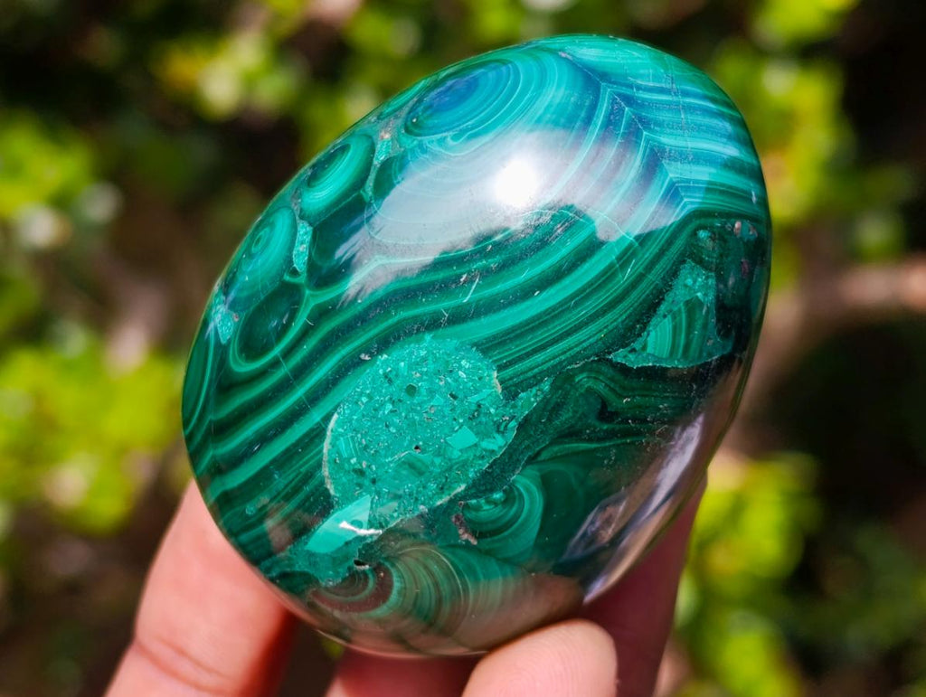 Polished Flower Banded Malachite Gemstone Eggs x 6 From Congo - Toprock Gemstones and Minerals 