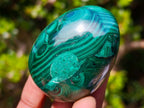 Polished Flower Banded Malachite Gemstone Eggs x 6 From Congo - Toprock Gemstones and Minerals 