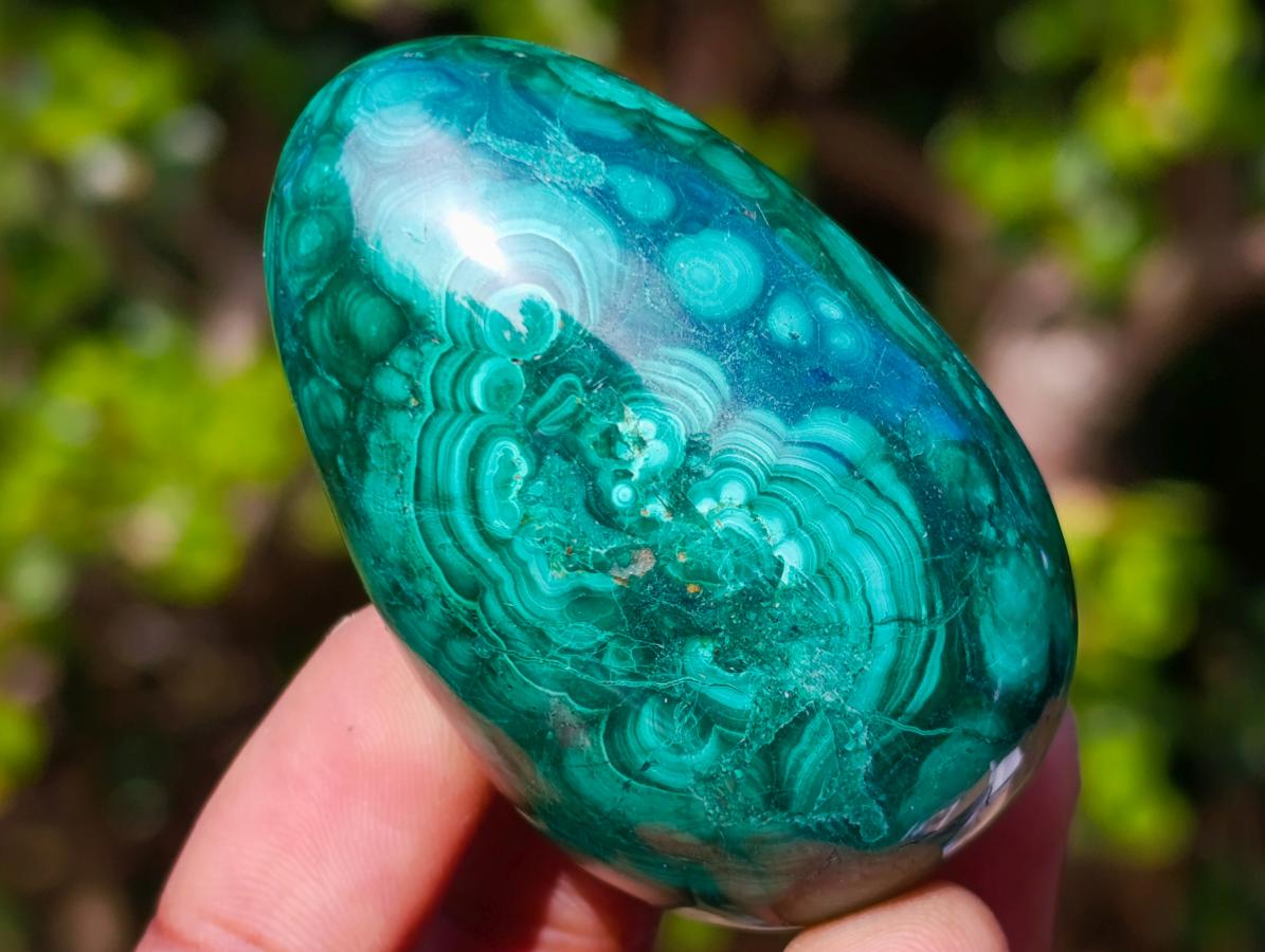 Polished Flower Banded Malachite Gemstone Eggs x 6 From Congo - Toprock Gemstones and Minerals 