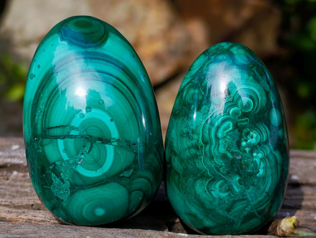 Polished Flower Banded Malachite Gemstone Eggs x 6 From Congo - Toprock Gemstones and Minerals 