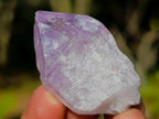 Natural Jacaranda Amethyst Single Crystals x 70 From Mumbwa, Zambia - Toprock Gemstones and Minerals 