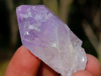 Natural Jacaranda Amethyst Single Crystals x 70 From Mumbwa, Zambia - Toprock Gemstones and Minerals 