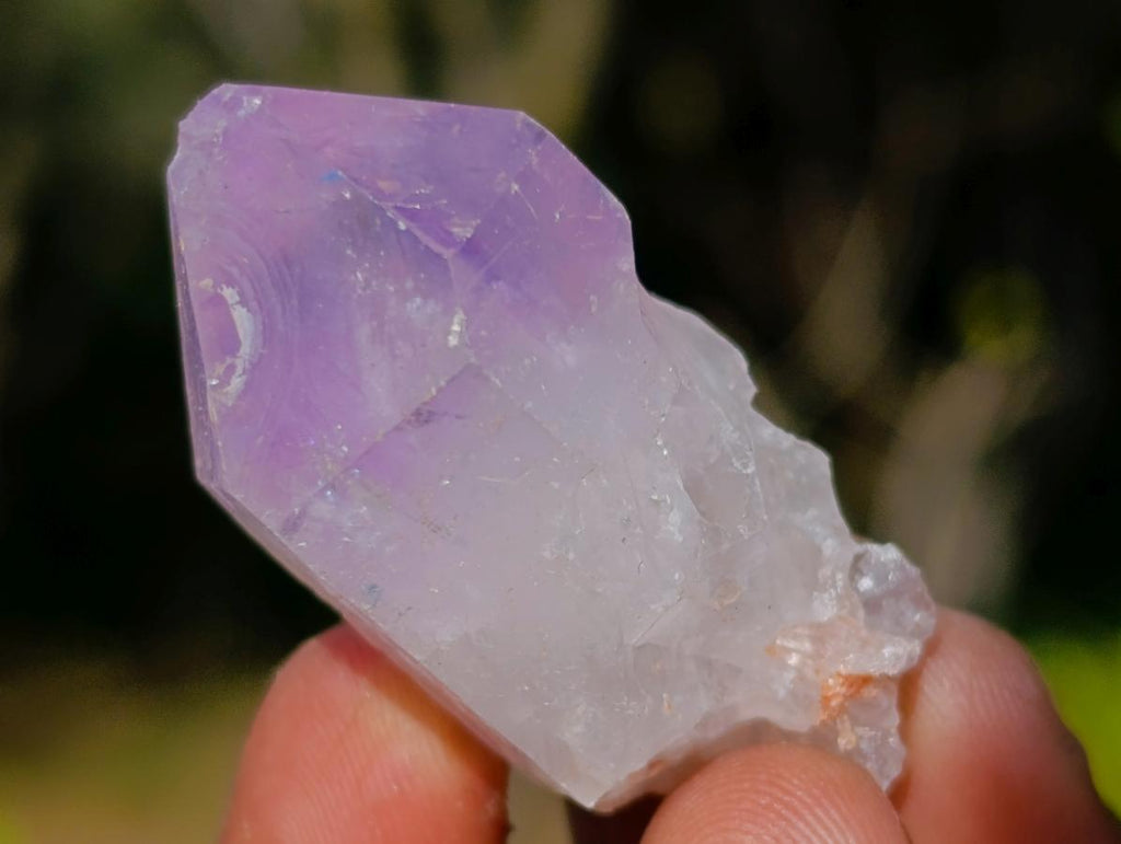 Natural Jacaranda Amethyst Single Crystals x 70 From Mumbwa, Zambia - Toprock Gemstones and Minerals 