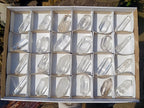 Polished Double Terminated Clear Quartz Crystals x 24 From Madagascar - Toprock Gemstones and Minerals 