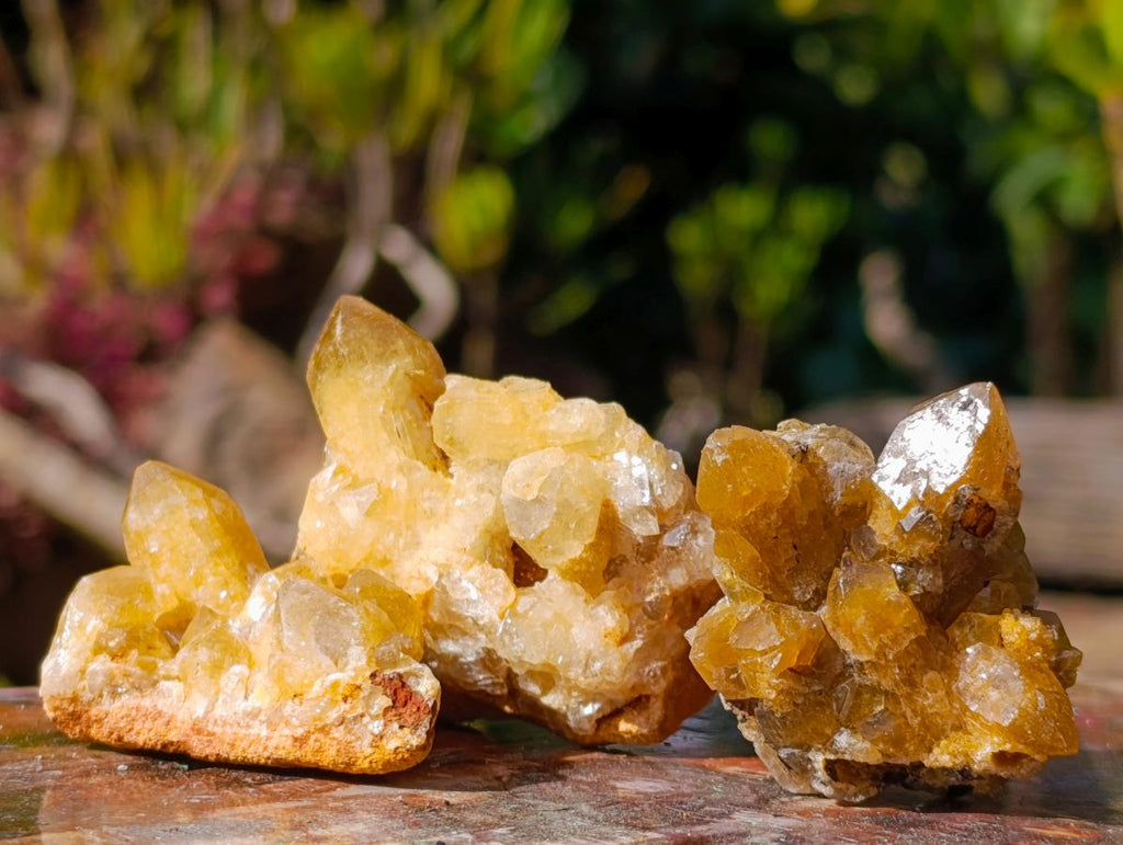 Natural Golden Limonite Quartz Crystal Plates x 46 From Solwezi, Zambia - Toprock Gemstones and Minerals 