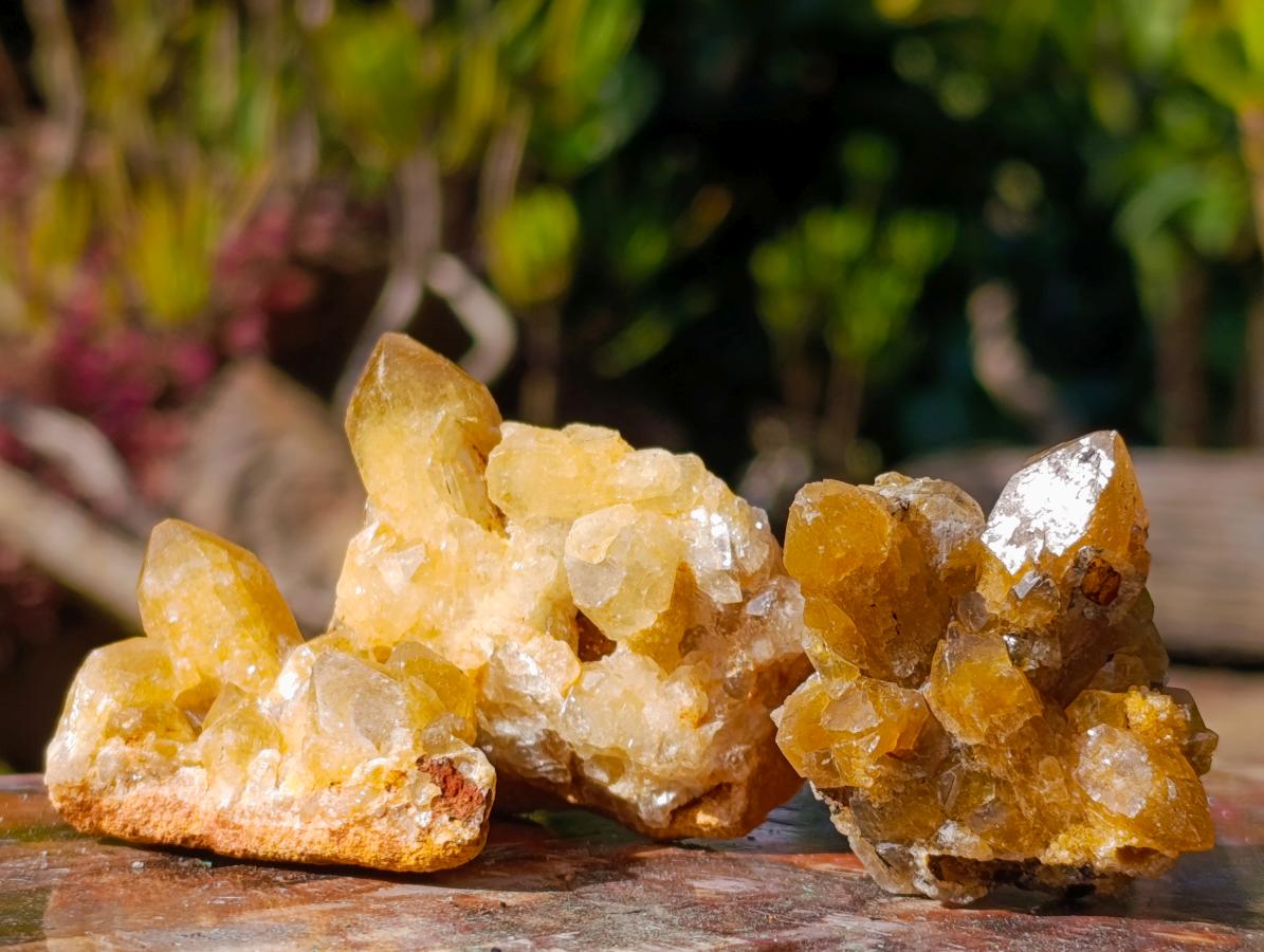 Natural Golden Limonite Quartz Crystal Plates x 46 From Solwezi, Zambia - Toprock Gemstones and Minerals 