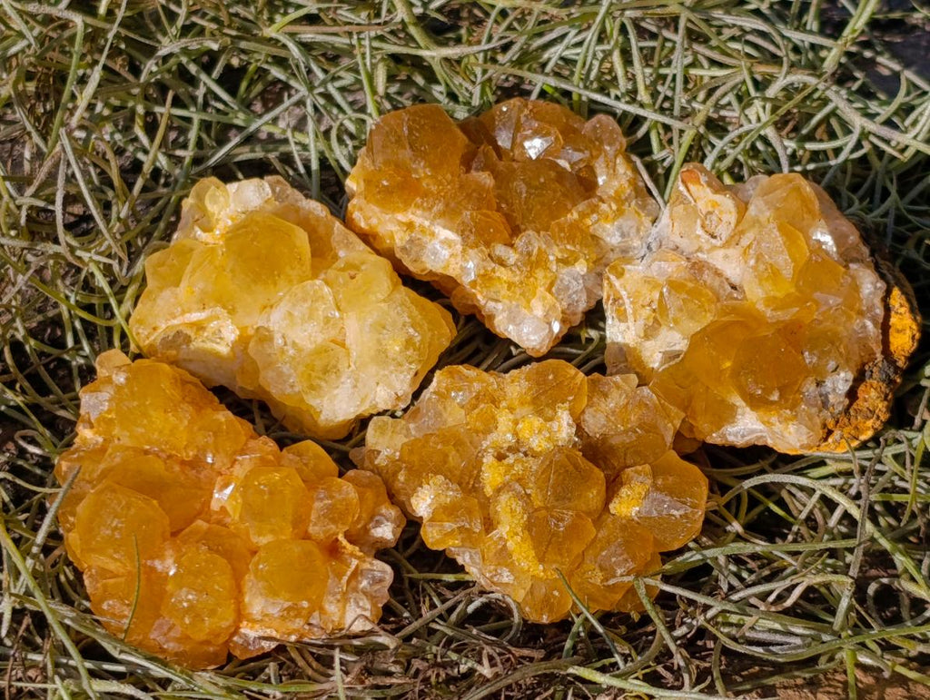 Natural Golden Limonite Quartz Crystal Plates x 46 From Solwezi, Zambia - Toprock Gemstones and Minerals 