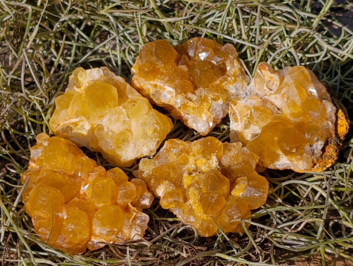 Natural Golden Limonite Quartz Crystal Plates x 46 From Solwezi, Zambia - Toprock Gemstones and Minerals 