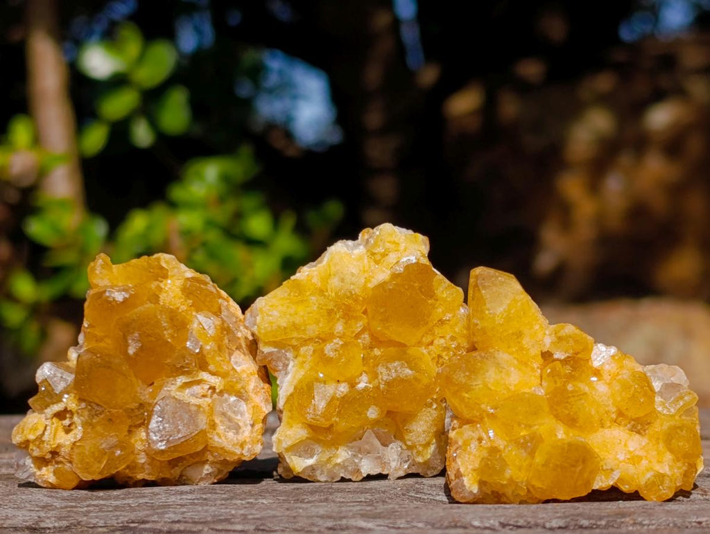 Natural Golden Limonite Quartz Crystal Plates x 46 From Solwezi, Zambia - Toprock Gemstones and Minerals 