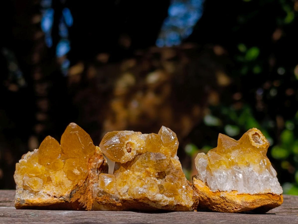 Natural Golden Limonite Quartz Crystal Plates x 46 From Solwezi, Zambia - Toprock Gemstones and Minerals 