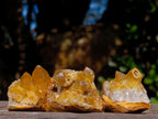 Natural Golden Limonite Quartz Crystal Plates x 46 From Solwezi, Zambia - Toprock Gemstones and Minerals 