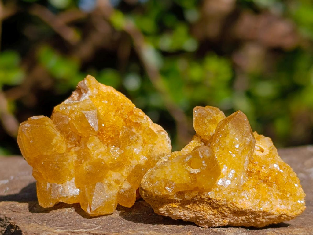 Natural Golden Limonite Quartz Crystal Plates x 46 From Solwezi, Zambia - Toprock Gemstones and Minerals 
