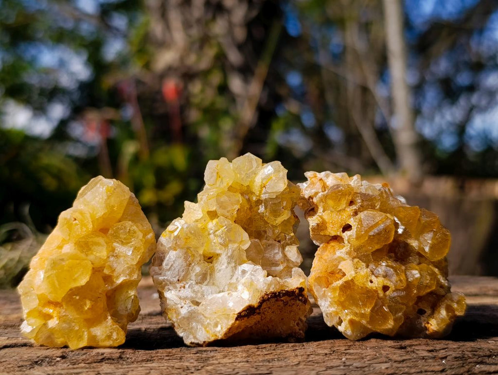 Natural Golden Limonite Quartz Crystal Plates x 46 From Solwezi, Zambia - Toprock Gemstones and Minerals 
