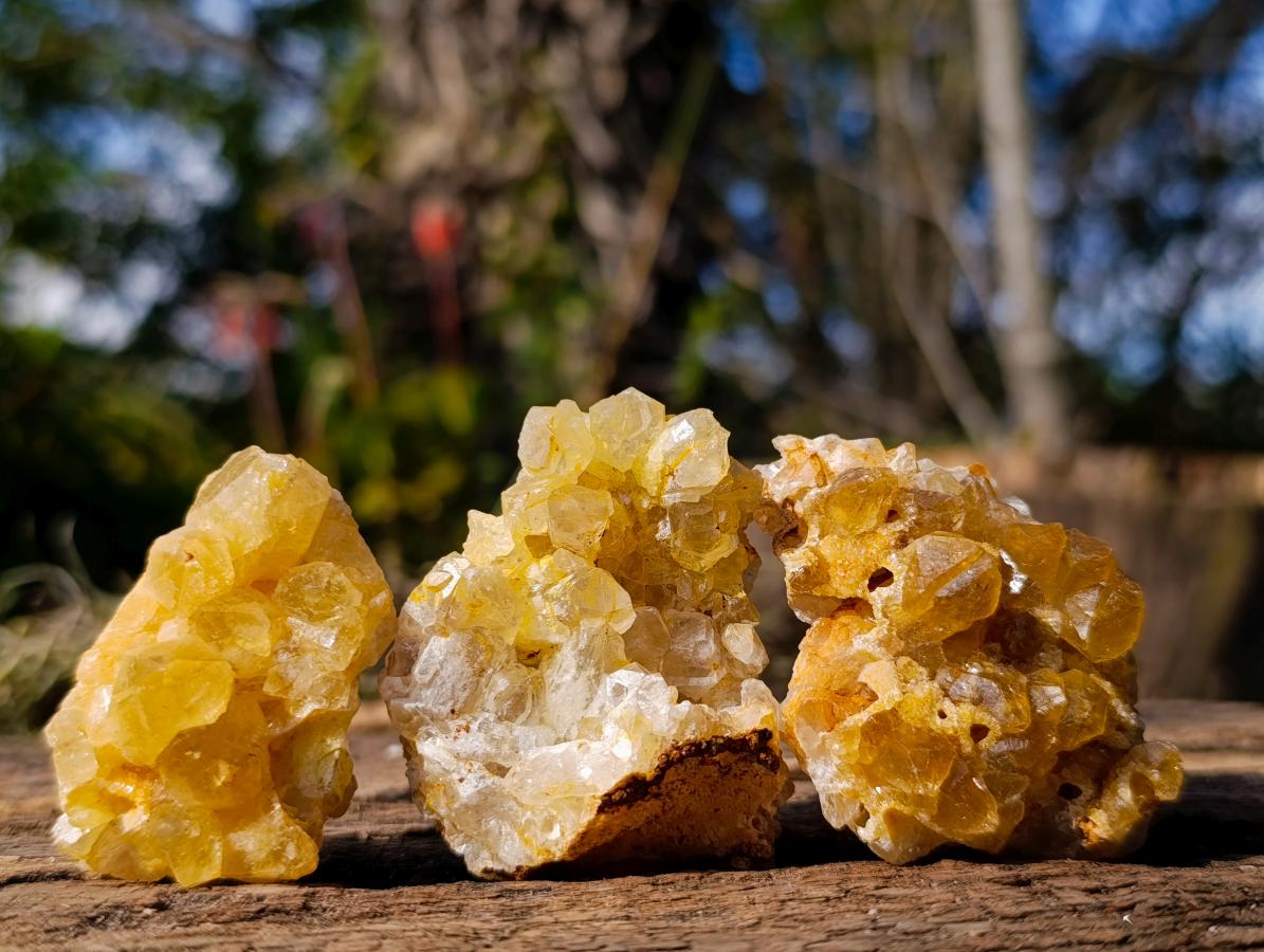 Natural Golden Limonite Quartz Crystal Plates x 46 From Solwezi, Zambia - Toprock Gemstones and Minerals 